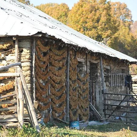 Ograjdenska Kushta Borovichene